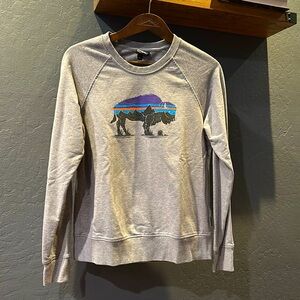 Patagonia Grey Sweater - women small